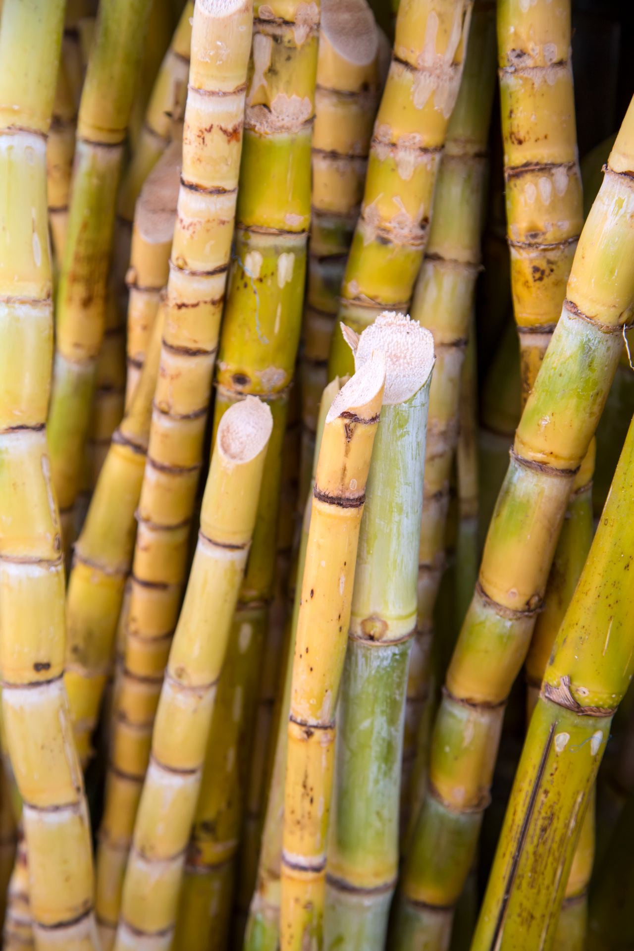 Soft Commodities