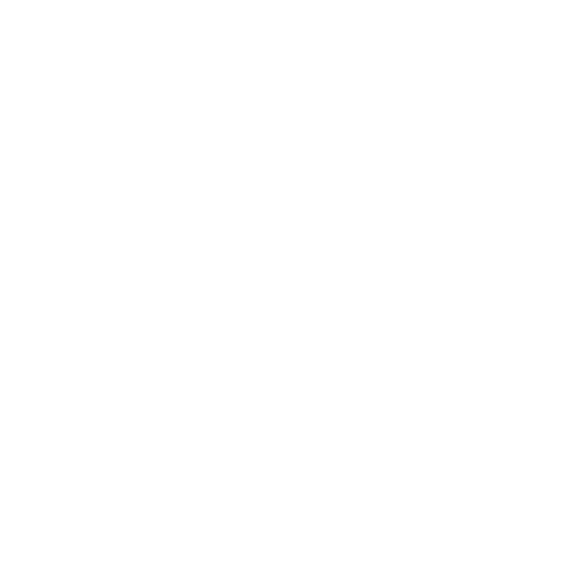 Client-Centric Consulting